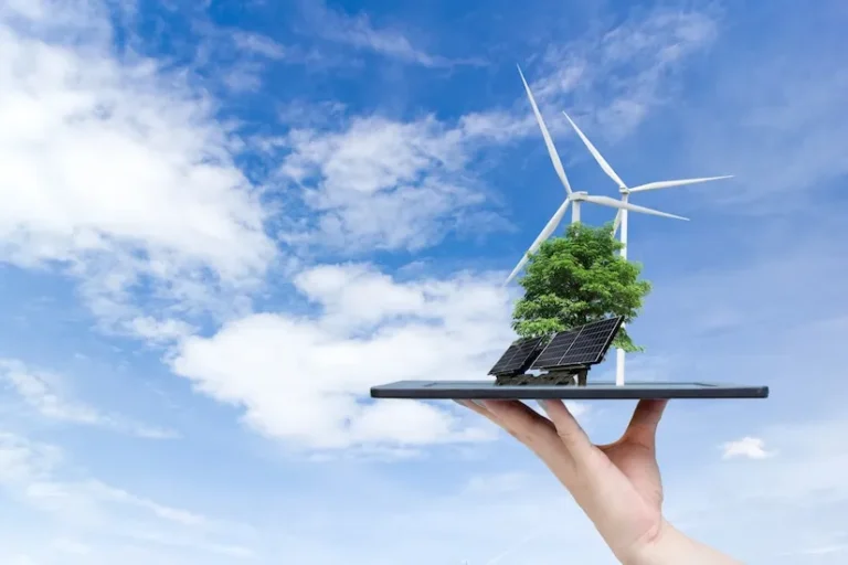 Solar panels and green ecosystem