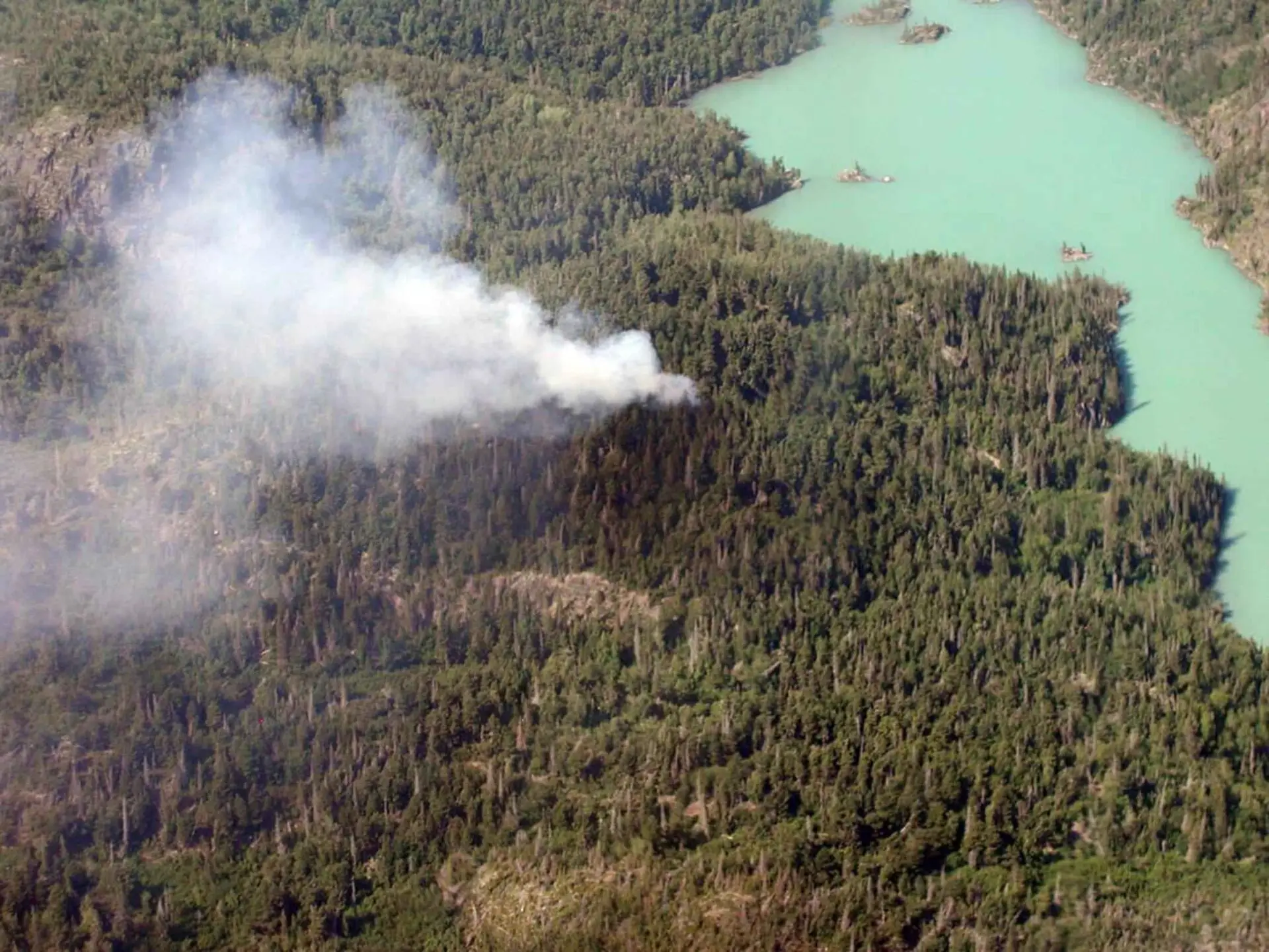 Aerial view of forest wildfire consistent with 2026 record burn season